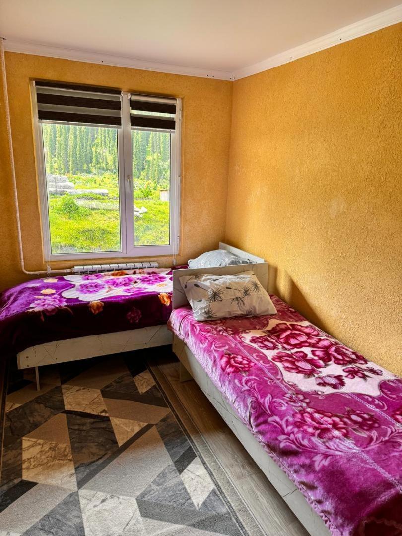 Ala-Kul Guesthouse In Altyn-Arashan Karakol Buitenkant foto