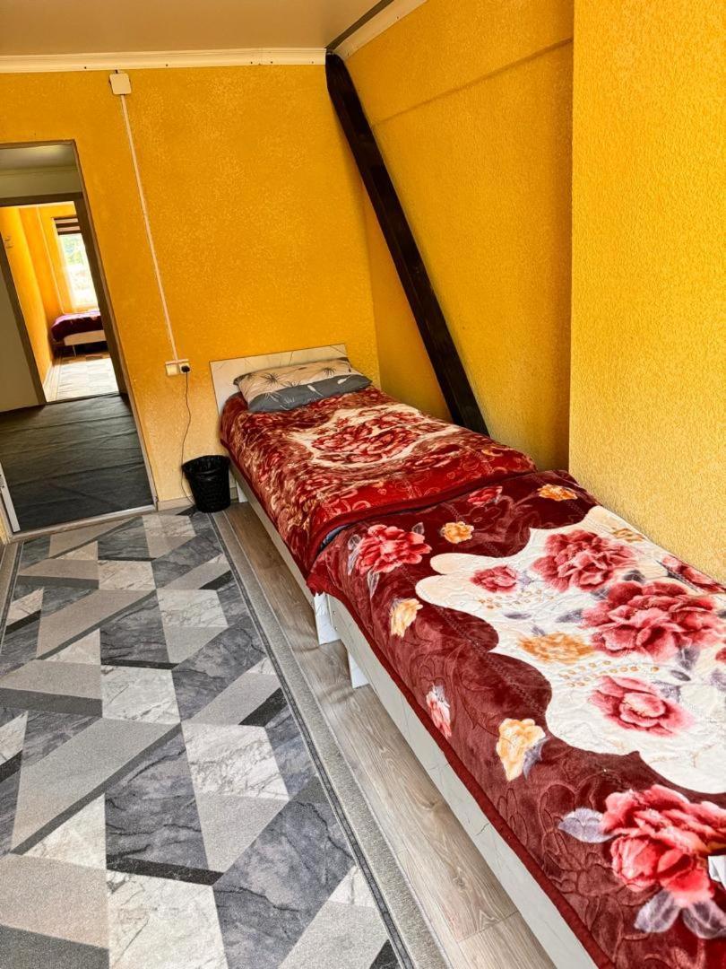 Ala-Kul Guesthouse In Altyn-Arashan Karakol Buitenkant foto