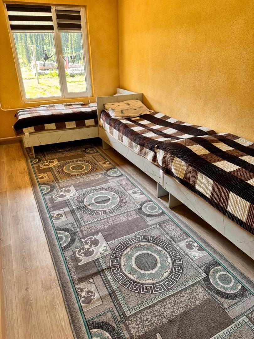 Ala-Kul Guesthouse In Altyn-Arashan Karakol Buitenkant foto
