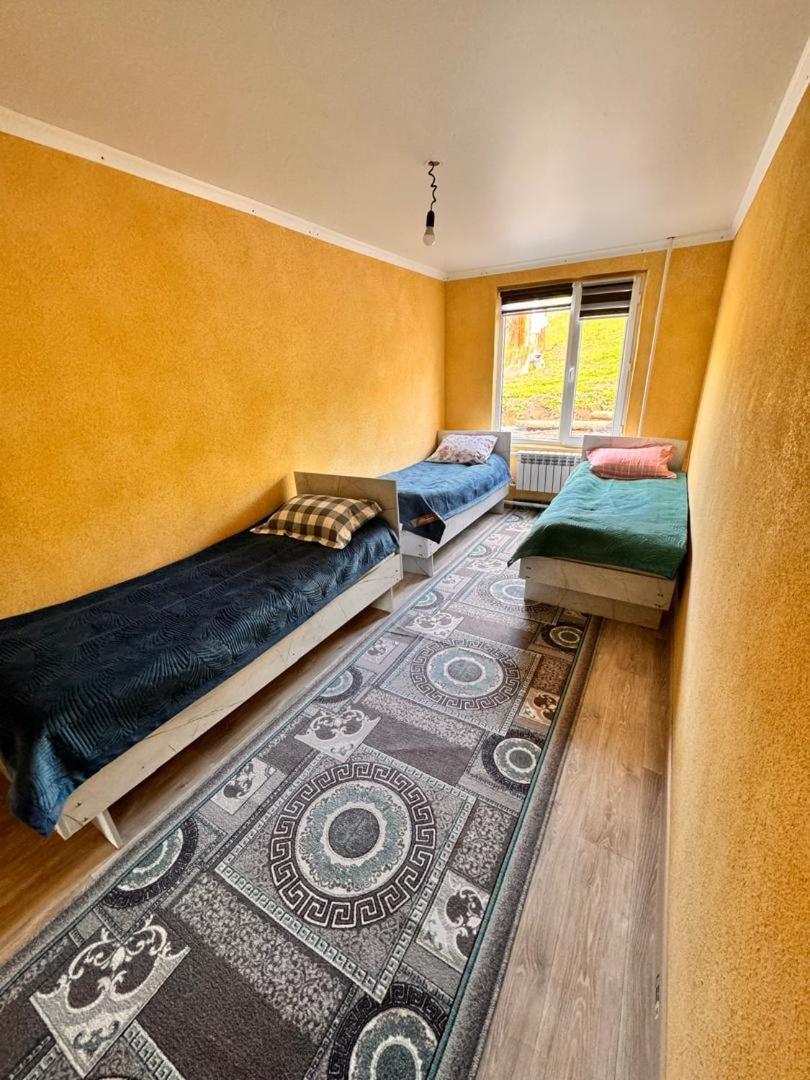 Ala-Kul Guesthouse In Altyn-Arashan Karakol Buitenkant foto