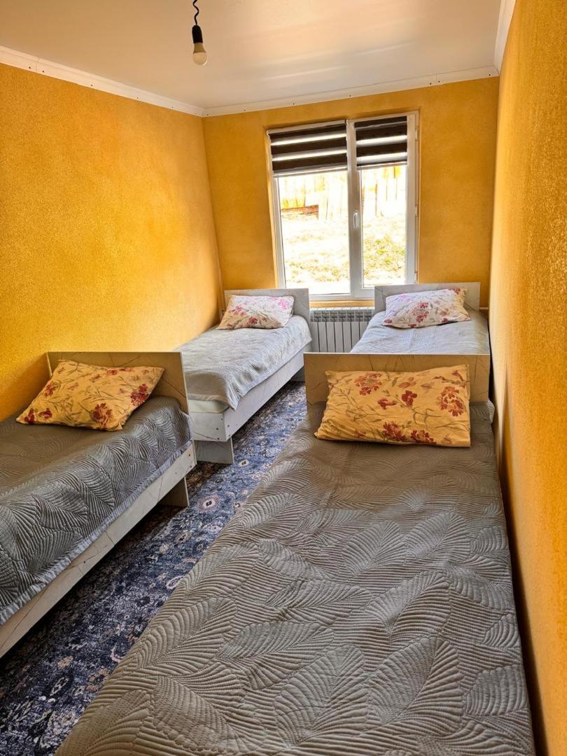Ala-Kul Guesthouse In Altyn-Arashan Karakol Buitenkant foto