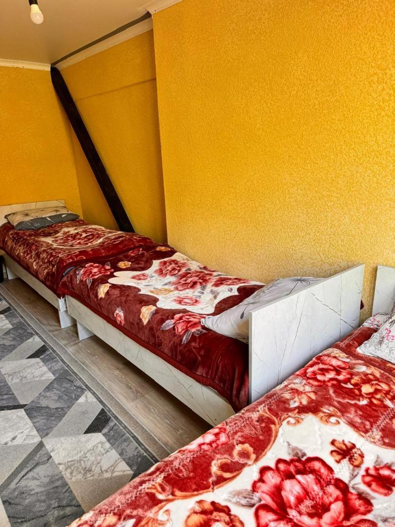 Ala-Kul Guesthouse In Altyn-Arashan Karakol Buitenkant foto
