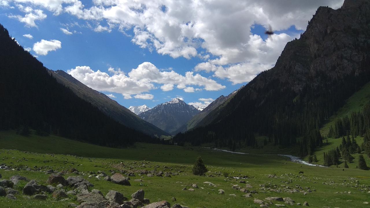 Ala-Kul Guesthouse In Altyn-Arashan Karakol Buitenkant foto