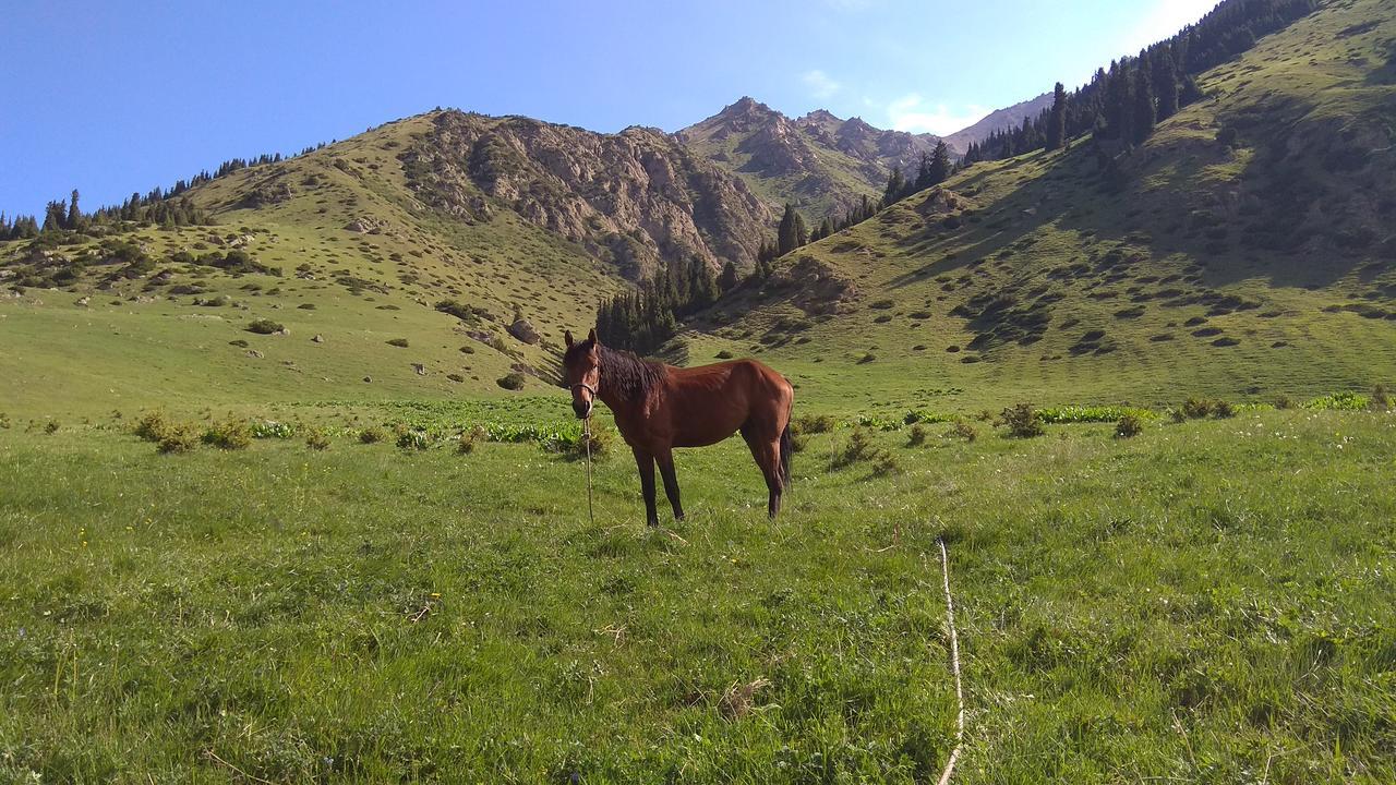 Ala-Kul Guesthouse In Altyn-Arashan Karakol Buitenkant foto